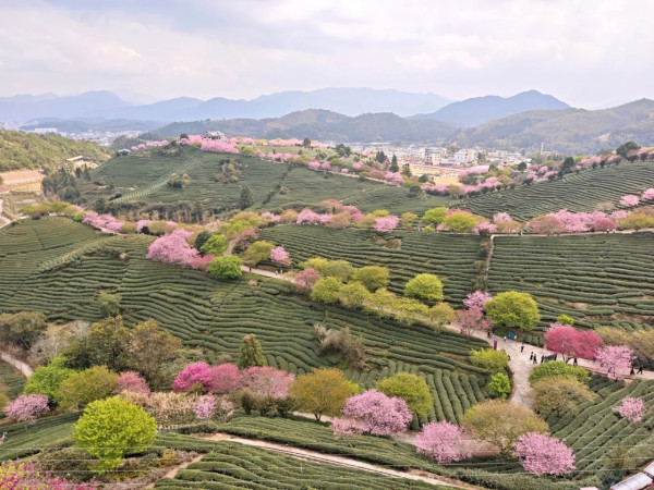 照片來源：小紅書@秘密的奇妙人生