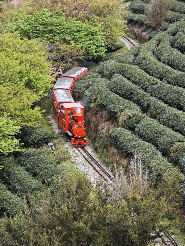 照片來源：小紅書@秘密的奇妙人生