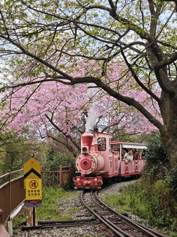 照片來源：小紅書@秘密的奇妙人生