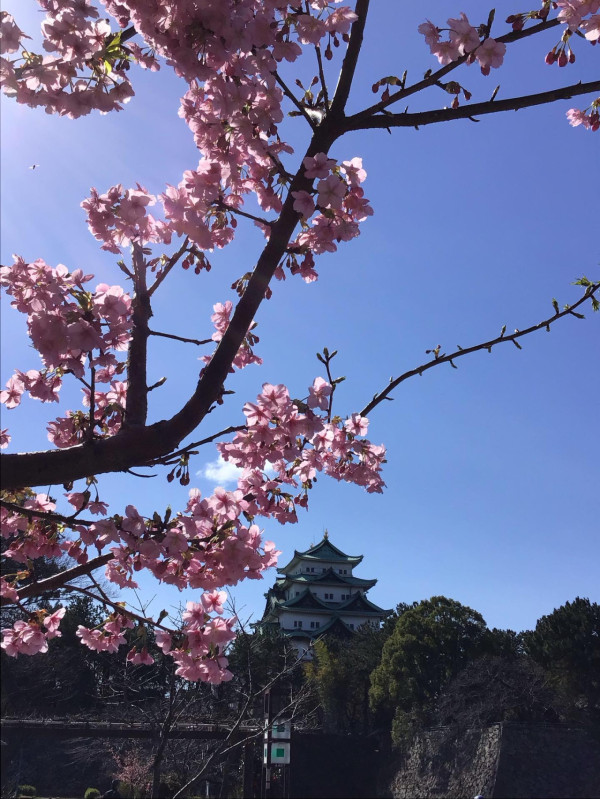 圖片來源：FB@名城公園フラワープラザ