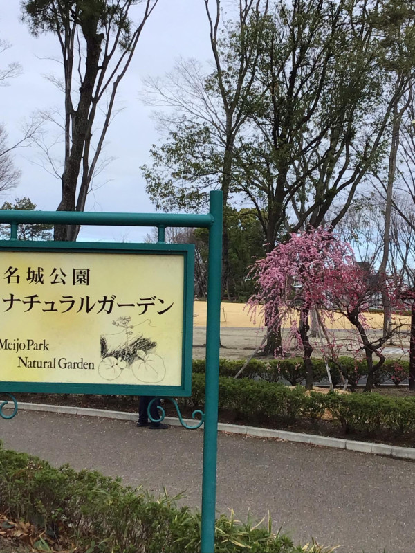 圖片來源：FB@名城公園フラワープラザ