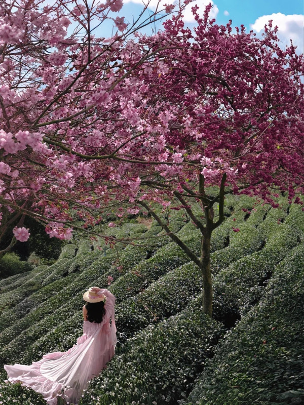 照片來源：小紅書@闽D美女