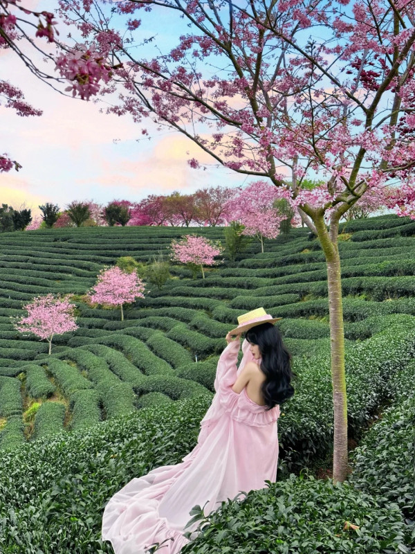 照片來源：小紅書@闽D美女