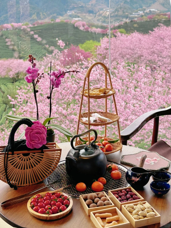 照片來源：小紅書@闽D美女