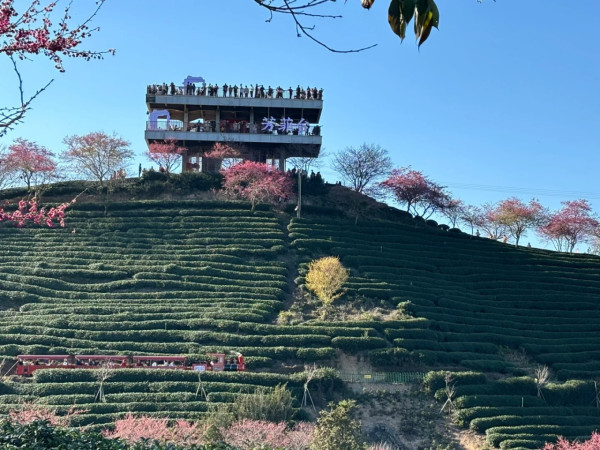 照片來源：小紅書@Arsuan