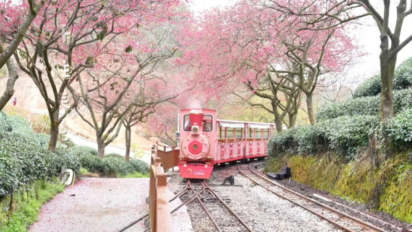 照片來源：小紅書@云游永福（志愿版）