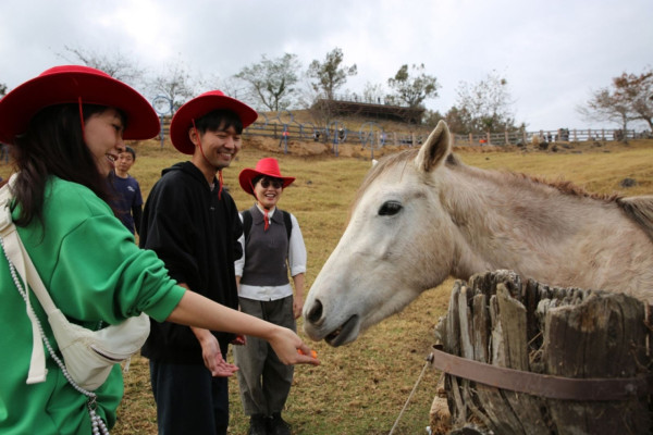 圖片來源:清境農場官網 圖片來源:清境農場官網
