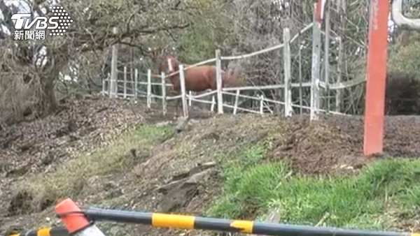 圖片來源:TVBS 新聞網 圖片來源:TVBS 新聞網