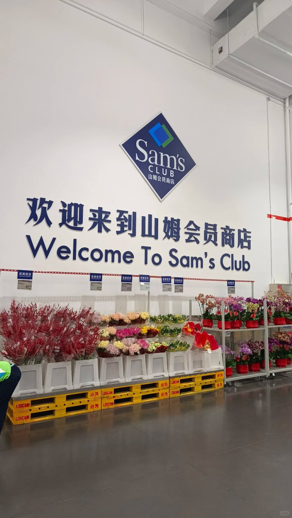 圖片來源：小紅書@天語墨境、 小紅書@藍美少女 、小紅書@野豬林的I人、小紅書@DianaYao