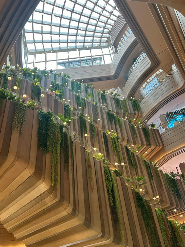 圖片來源：小紅書@天語墨境、 小紅書@藍美少女 、小紅書@野豬林的I人、小紅書@DianaYao