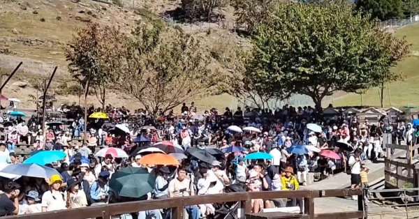 圖片來源:東森新聞 圖片來源:東森新聞