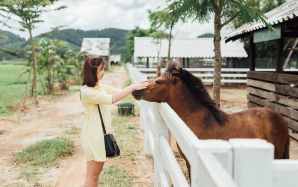 圖片來源:freepik 圖片來源:freepik