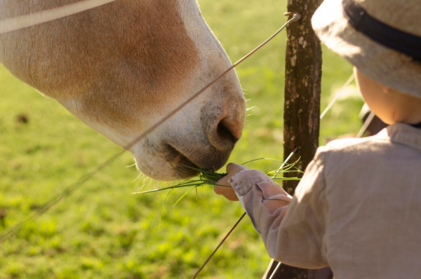 圖片來源:freepik 圖片來源:freepik