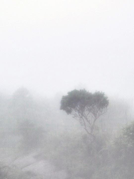 回南天各區鬥濕！將軍澳曬「消失的樓」爭霸 天文台揭最濕重災區：呢度先係第1！