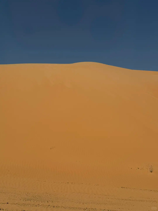 照片來源：小紅書@百变气泡周