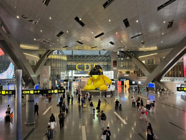 照片來源：小紅書@不可降解塑料袋