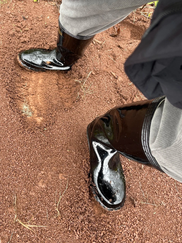 照片來源：小紅書@小靴人