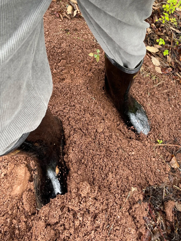 照片來源：小紅書@小靴人