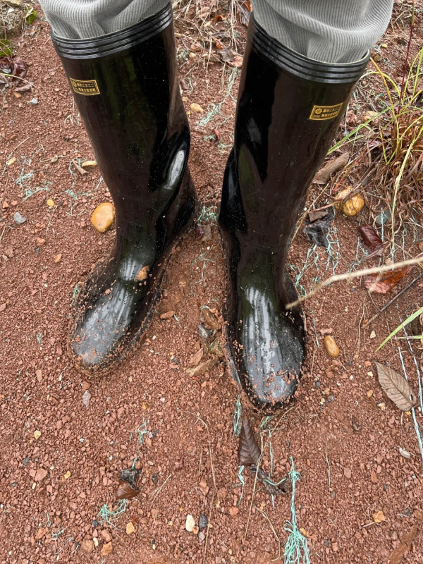 照片來源：小紅書@小靴人