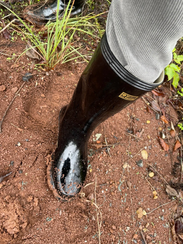 照片來源：小紅書@小靴人