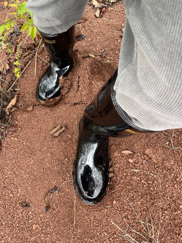 照片來源：小紅書@小靴人