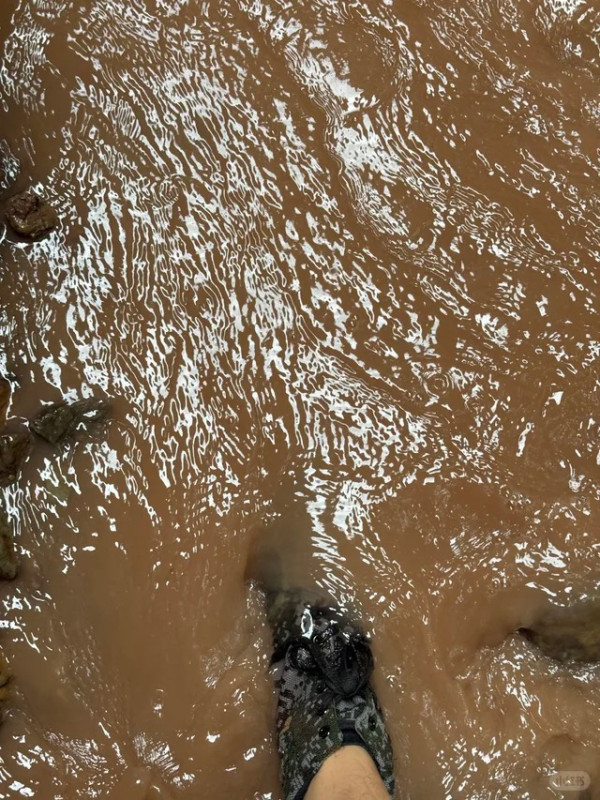 照片來源：小紅書@C7