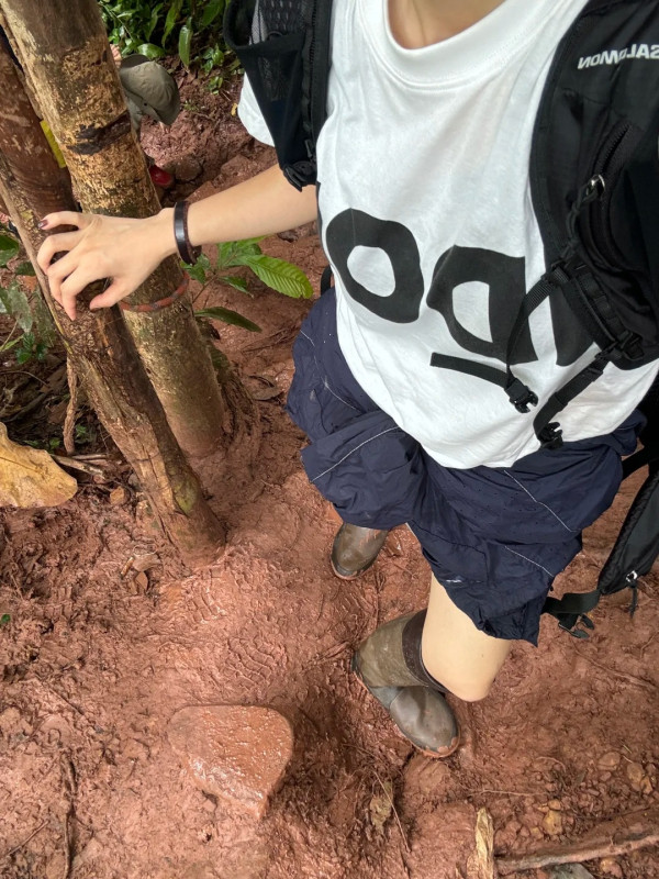 照片來源：小紅書@C7