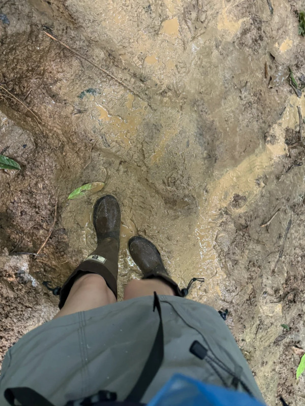 照片來源：小紅書@C7