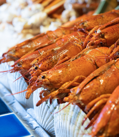 自助山生日優惠（圖片來源︰自助山）