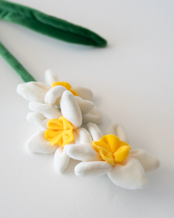 15萬枝毛絨花藝術裝置登陸中環！免費入場即拎走限定毛絨花1朵