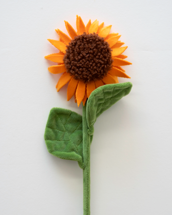 15萬枝毛絨花藝術裝置登陸中環！免費入場即拎走限定毛絨花1朵