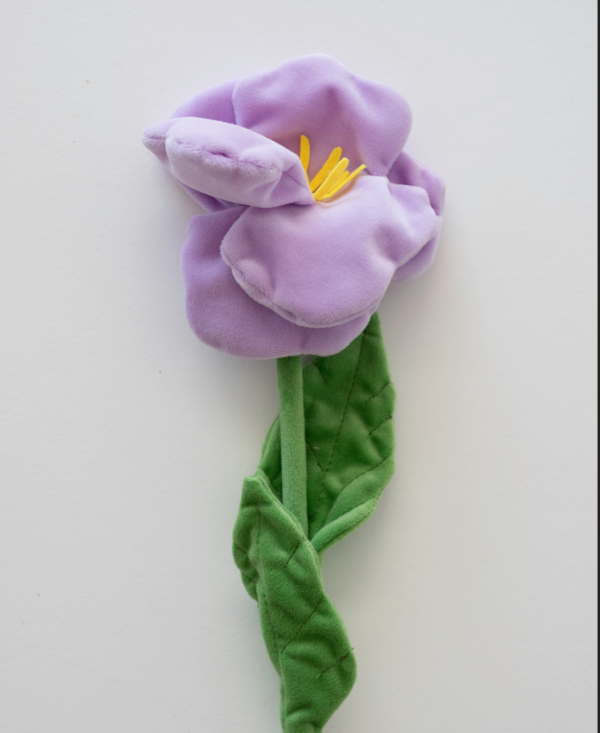 15萬枝毛絨花藝術裝置登陸中環！免費入場即拎走限定毛絨花1朵