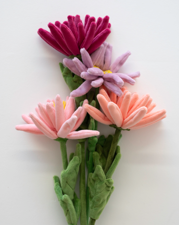 15萬枝毛絨花藝術裝置登陸中環!免費入場即拎走限定毛絨花1朵