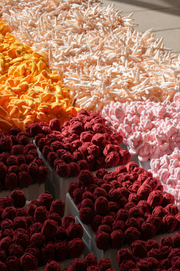 15萬枝毛絨花藝術裝置登陸中環！免費入場即拎走限定毛絨花1朵