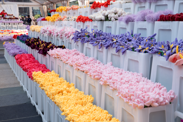 15萬枝毛絨花藝術裝置登陸中環!免費入場即拎走限定毛絨花1朵