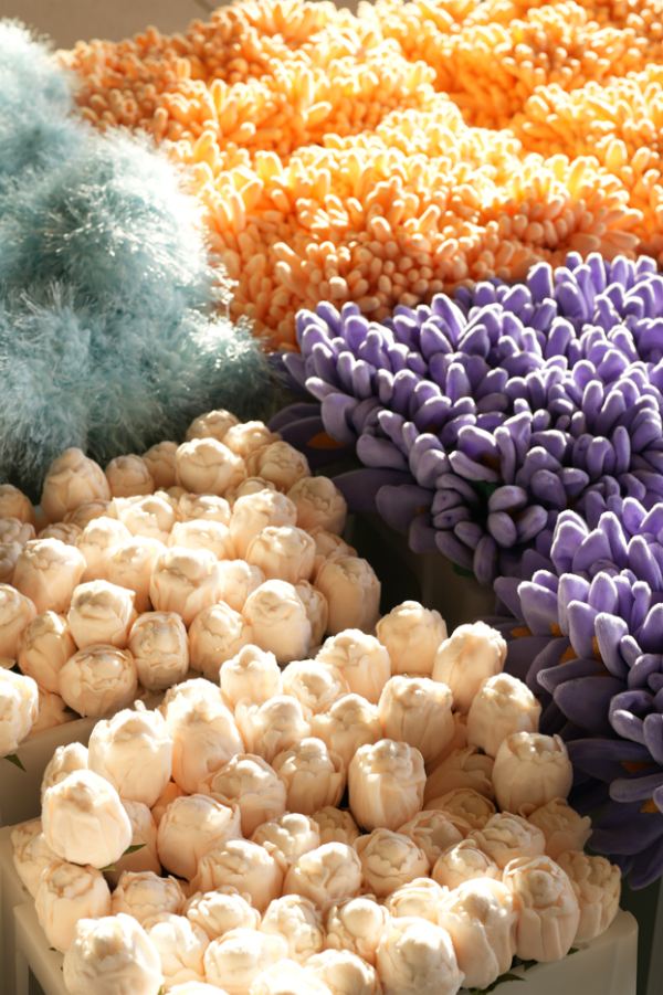 15萬枝毛絨花藝術裝置登陸中環！免費入場即拎走限定毛絨花1朵