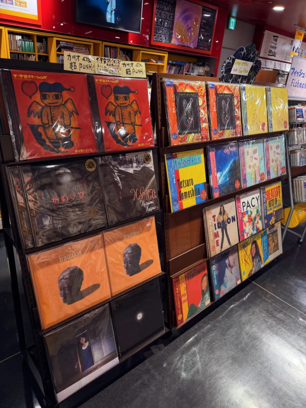 照片來源：小紅書@乌托邦少年