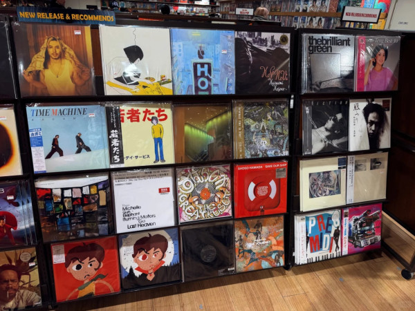 照片來源：小紅書@乌托邦少年