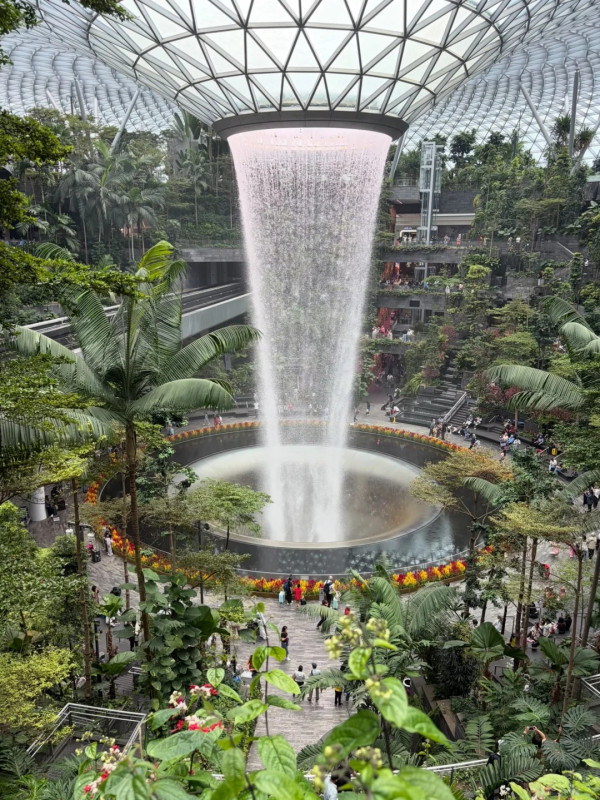 照片來源：小紅書@赛西西