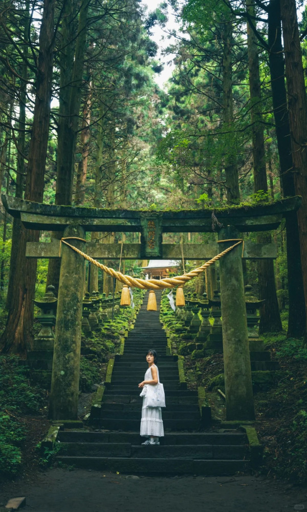 照片來源：小紅書@ Q桑