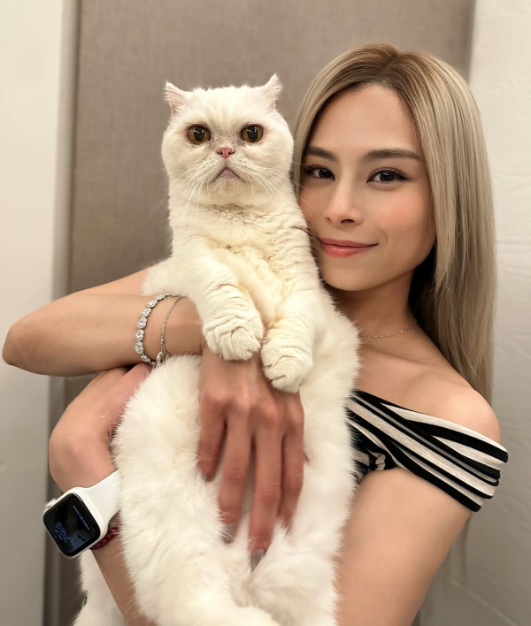 夜王｜盤點13位大馬女神：廖子妤Miko人氣躍升！Mimi與Mickey原來係同鄉