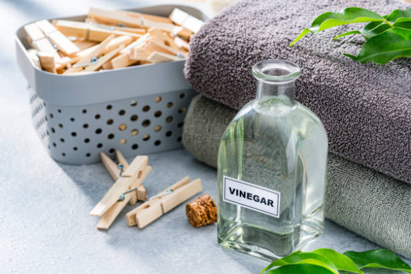 回南天潮濕晾衫恐吸霉入肺！專家：恐致肺部染真菌2類人極高危／衣物噏臭必學白醋洗衣法