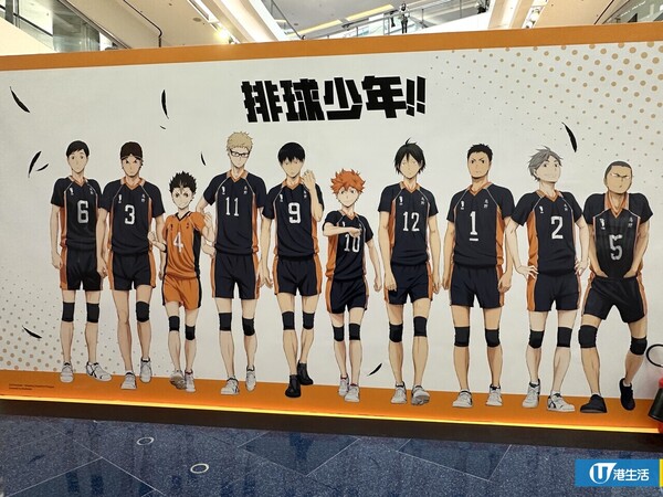 排球少年!!期間限定店登陸又一城  四大校旗打卡區/過百款港日限定周邊/限量收藏卡