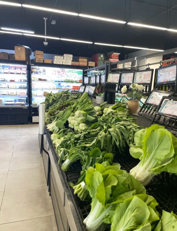 照片來源：小紅書@Jaly Li