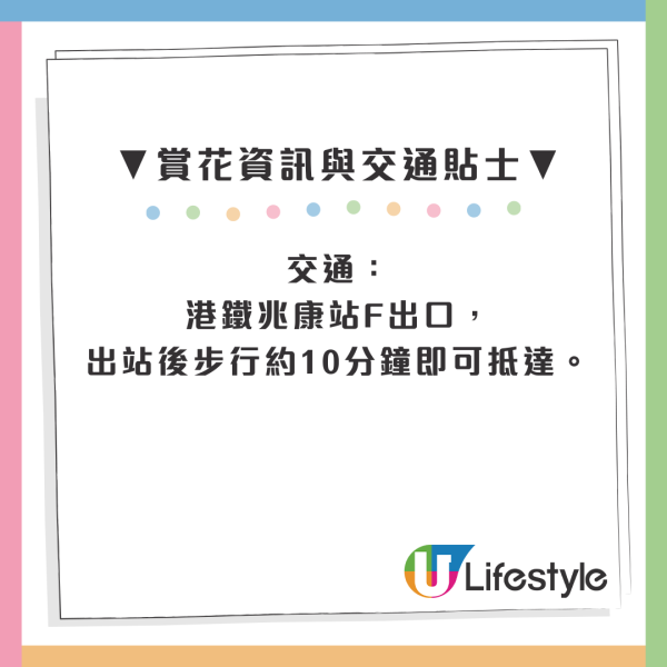 屯門「港版河津櫻」粉紅羊蹄甲！滿開成隧道 兆康站行10分鐘到秘境花海
