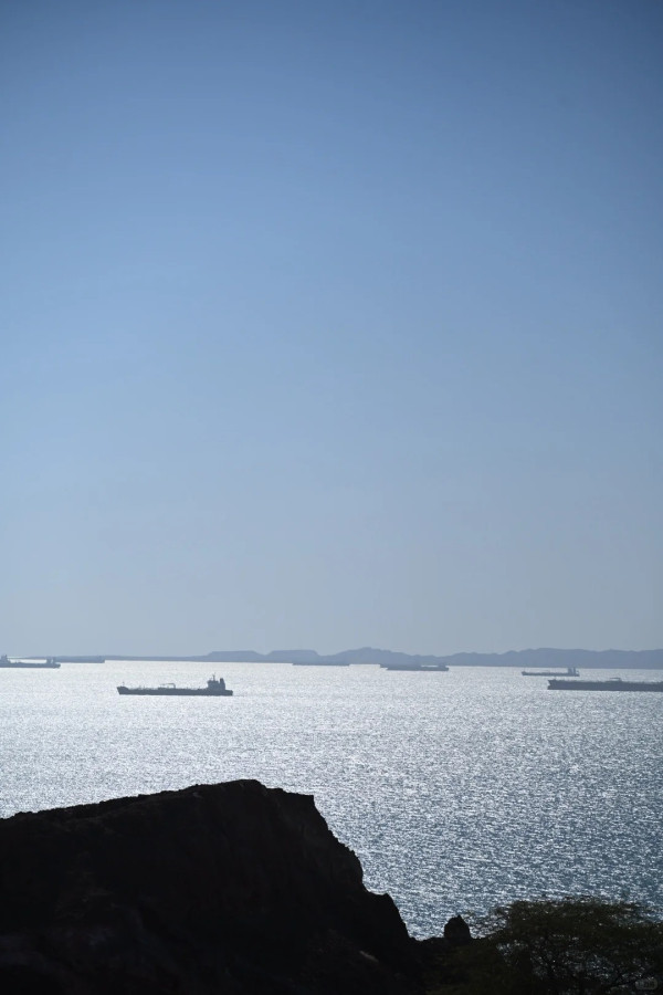 照片來源：小紅書@低密度生活指南