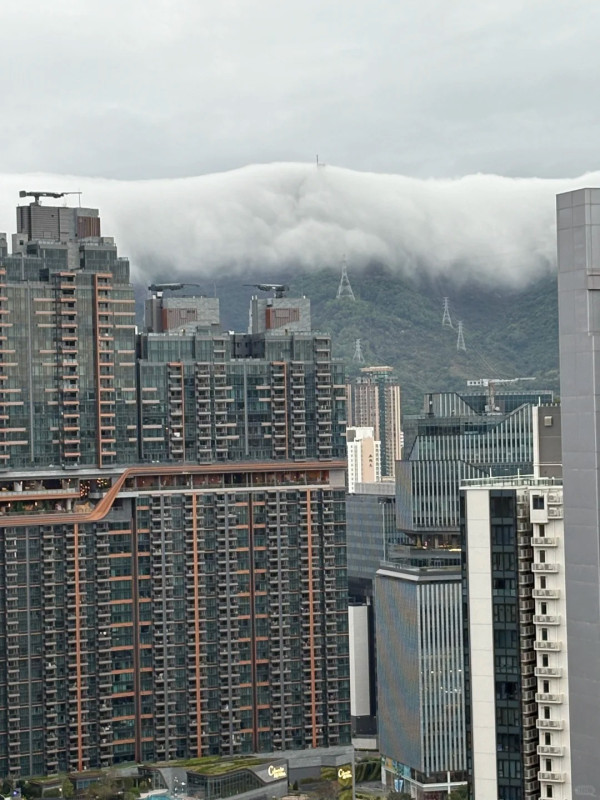 獅子山驚現「雪山」奇景？啟德居民早上直擊！雲霧淹沒山頭似足富士山