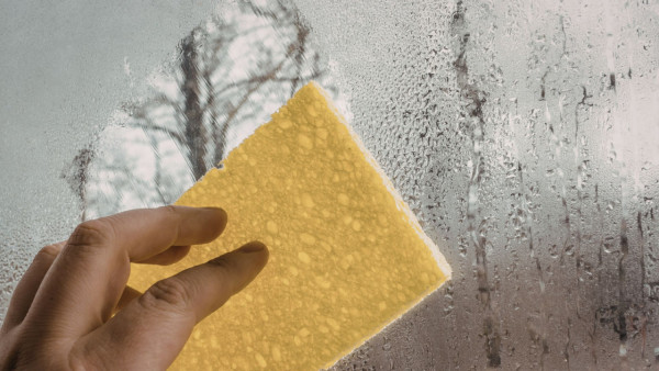 全港最潮濕5大屋苑排名曝光！電器商揭第1名斷層領先 網民驚訝：小西灣冇份？