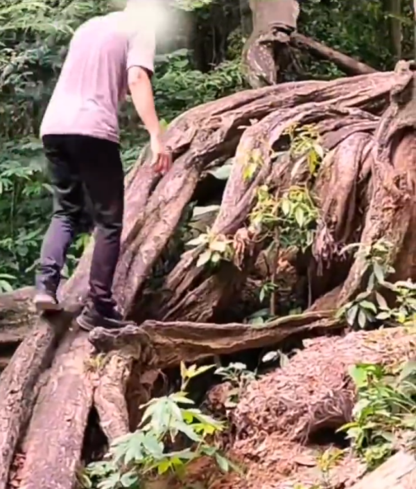 照片來源：微博@爱慕读书 