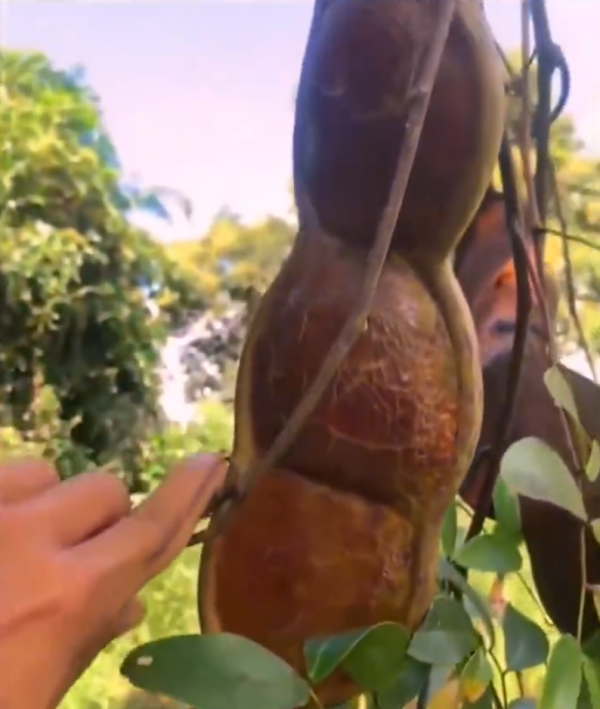 照片來源：微博@爱慕读书 